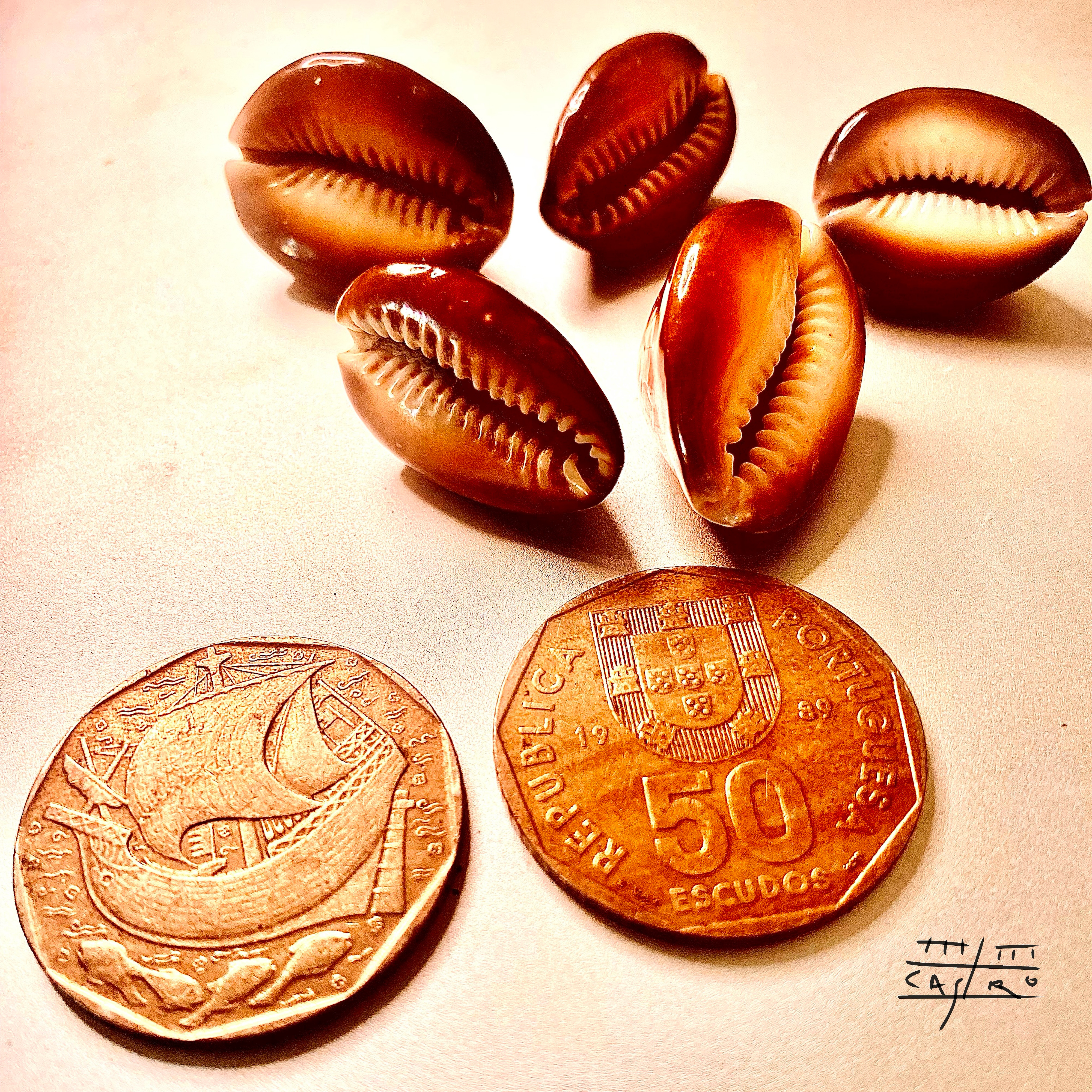 50 escudos e os búzios abertos
