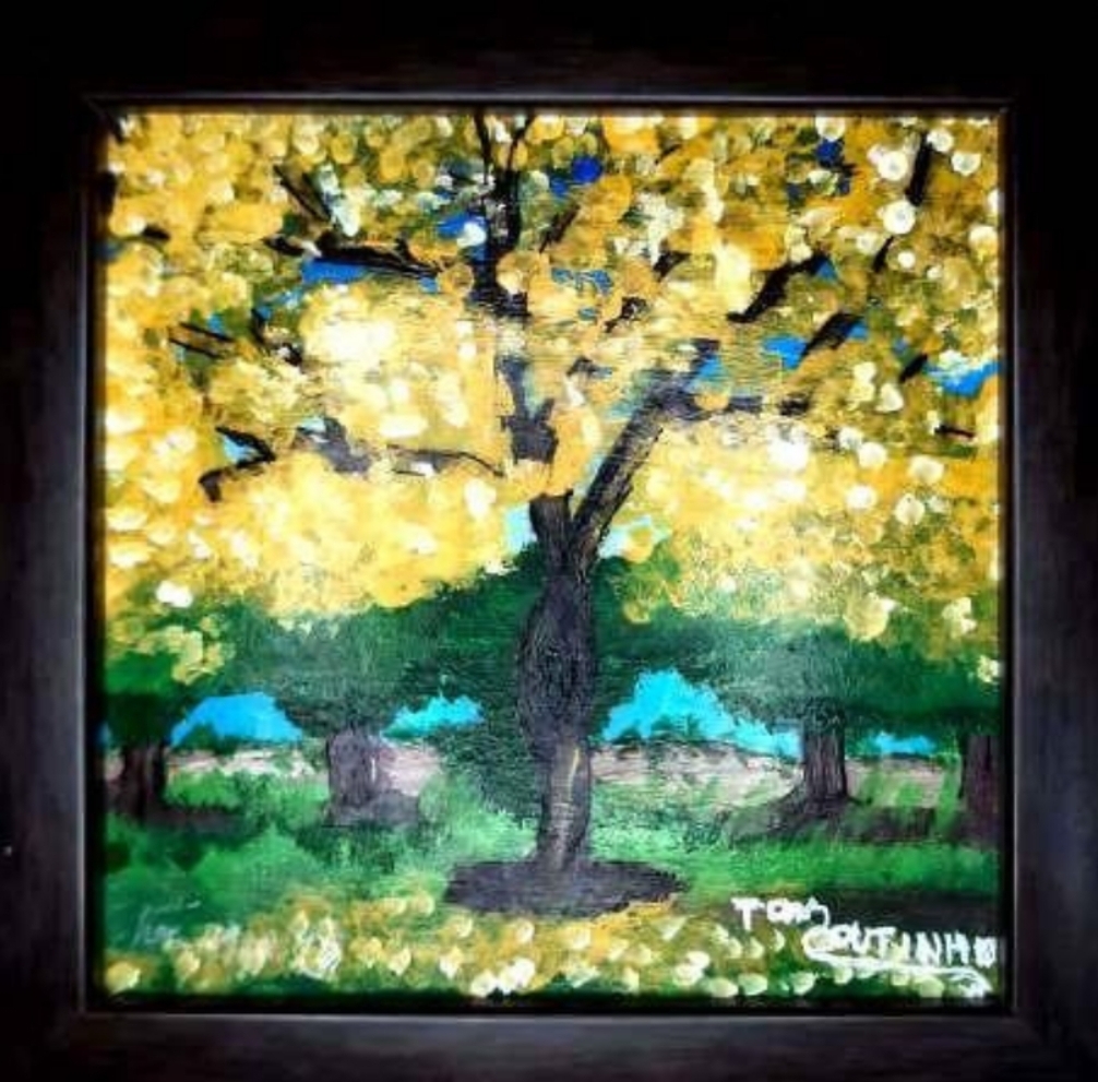 Ipê Amarelo 